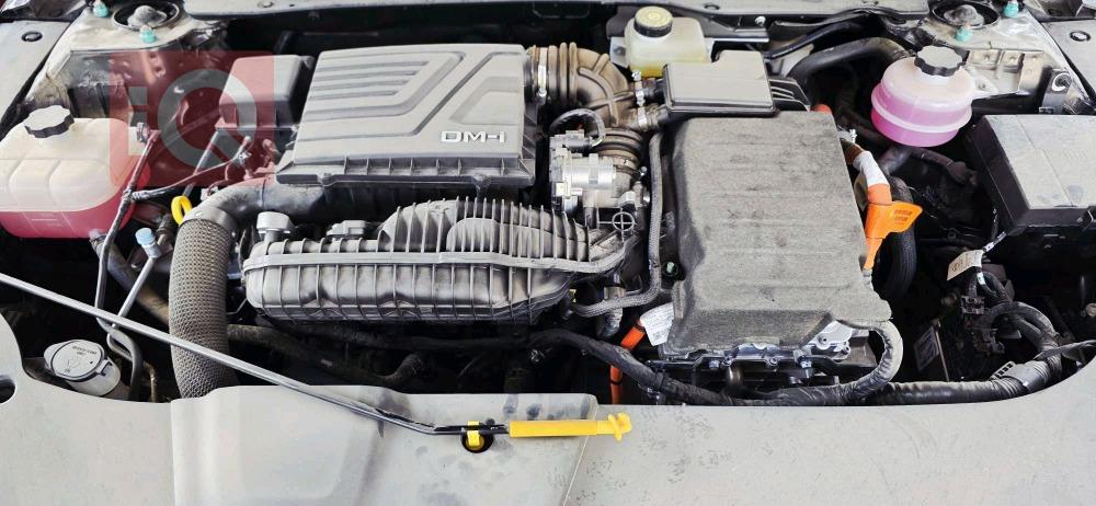 بي واي دي ديستروير 05